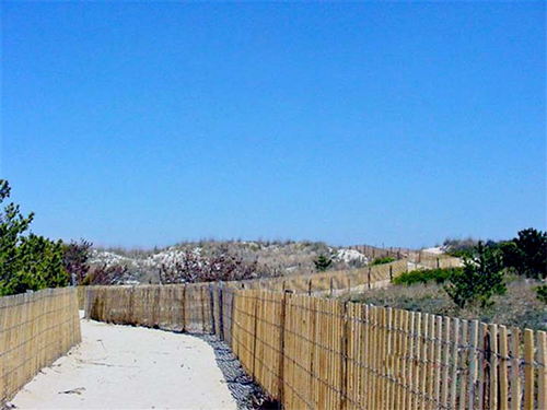 Buy Wooden Sand Fencing